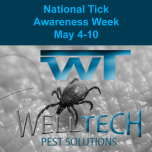 Read more about the article Floridian Multifamily Managers Need Tick Awareness