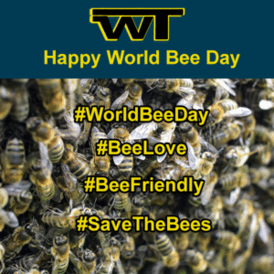 Read more about the article World Bee Day: Celebrating Our Bee-utiful-dutiful Creatures