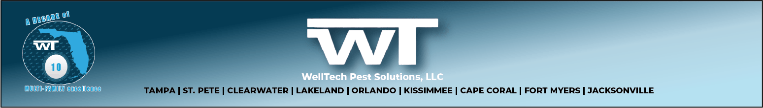 You are currently viewing The Anomaly of Dengue Fever Concentration in Tampa Bay