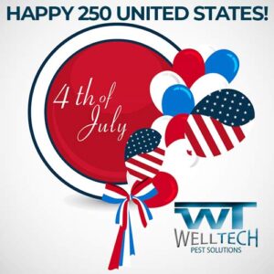 Read more about the article Celebrating 250 Years of Freedom (and a Bug-Free BBQ!)