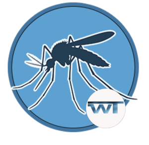 Read more about the article New Reports on locally acquired Dengue Fever 