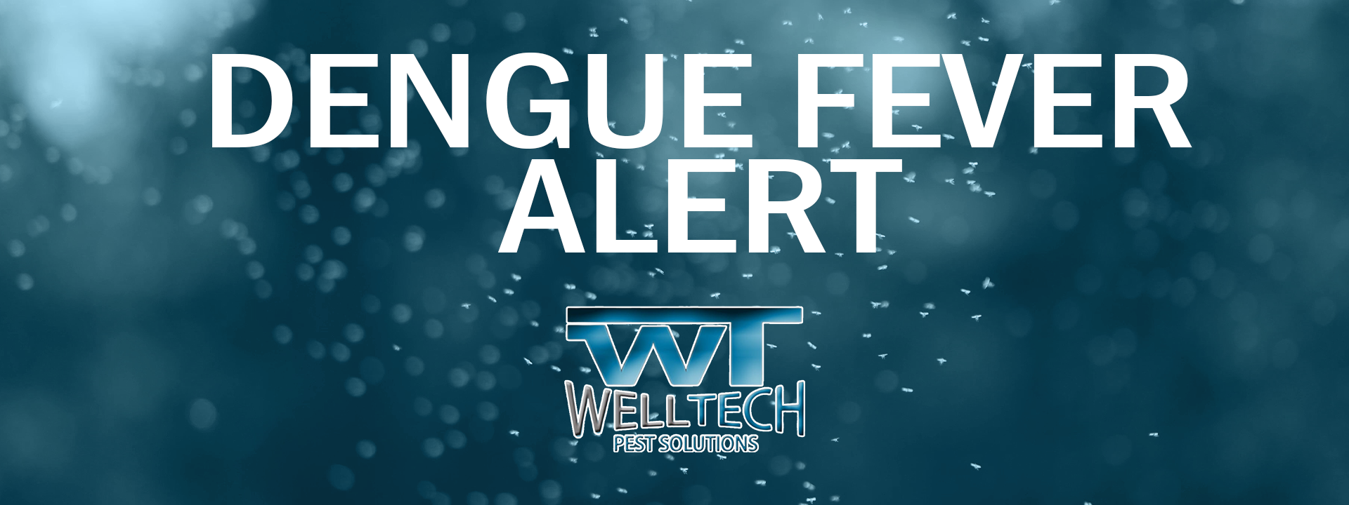 You are currently viewing Fighting the Dengue Surge